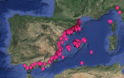 Efectos de las medusas en el litoral Español